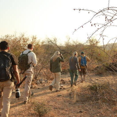 kruger national park, South Africa- September 2018; a tourists group walking in the kruger national park with an experienced guide